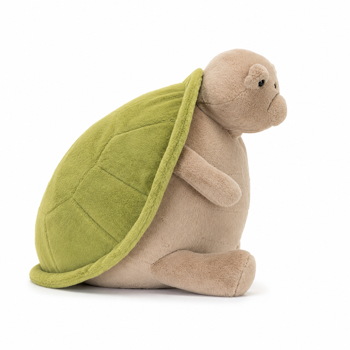 Timmy Turtle Plush Toy – 28cm