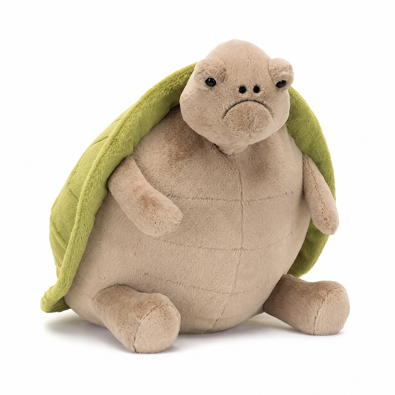 Timmy Turtle Plush Toy – 28cm
