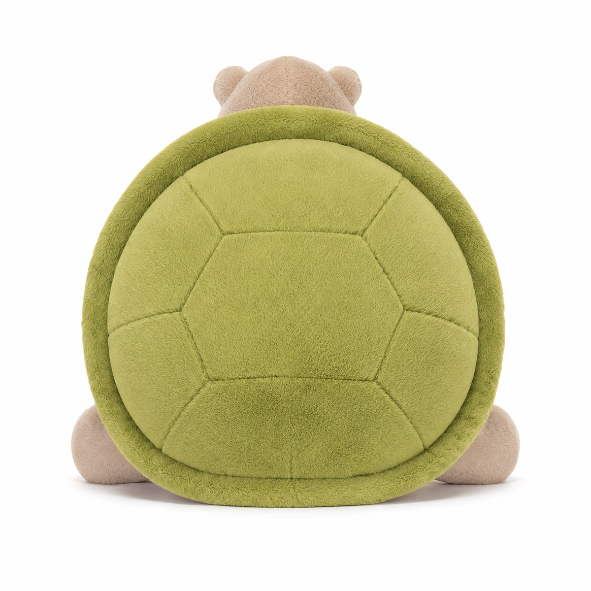Timmy Turtle Plush Toy – 28cm