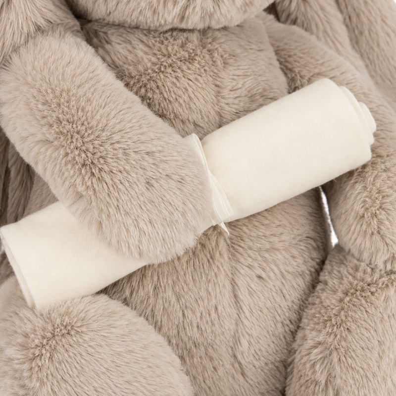 PhD Bunny Plush Toy – 31cm