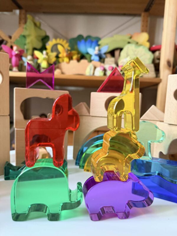 Green Elephant Original Design – Wild Rainbow Safari Blocks Exclusive Limited Edition Wooden & Acrylic Play Set - Image 5
