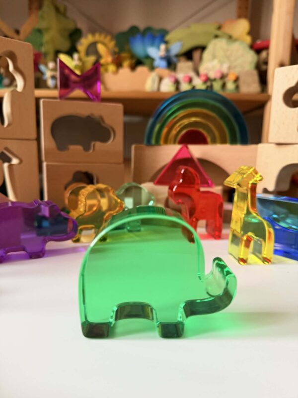 Green Elephant Original Design – Wild Rainbow Safari Blocks Exclusive Limited Edition Wooden & Acrylic Play Set - Image 6