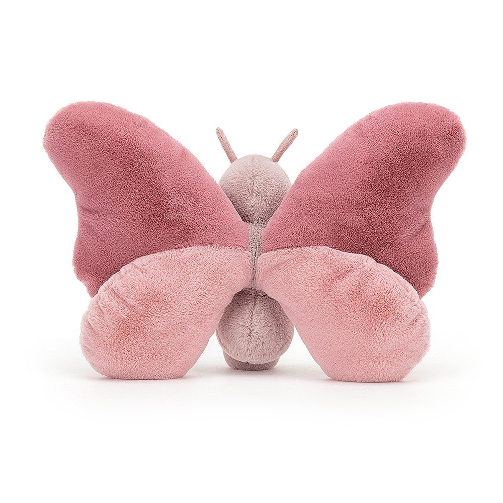 butterfly2 butterfly2